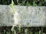 image of grave number 972931